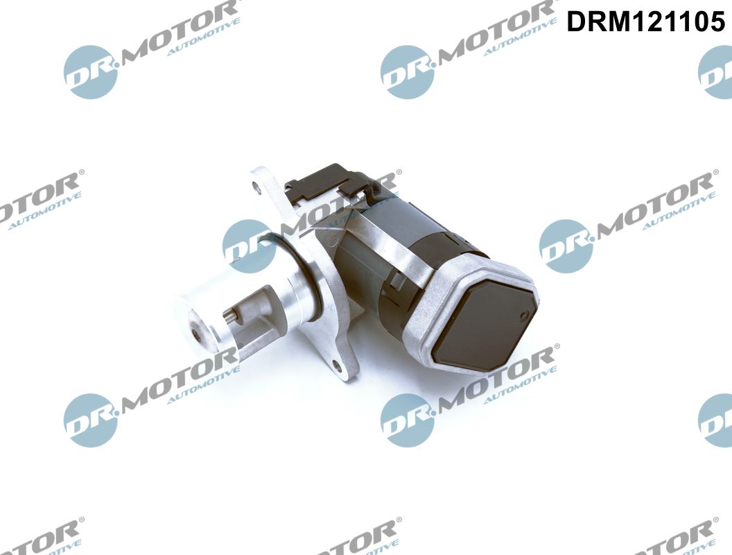EGR Valve (DRM121105)