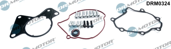 Repair Set, vacuum pump (braking system) (DRM0324)
