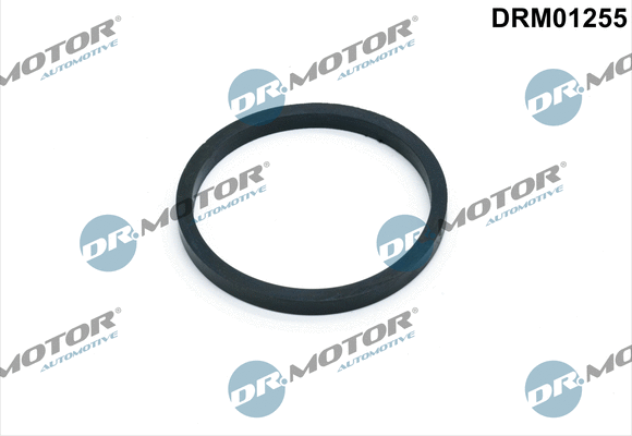 Gasket, oil cooler (DRM01255)