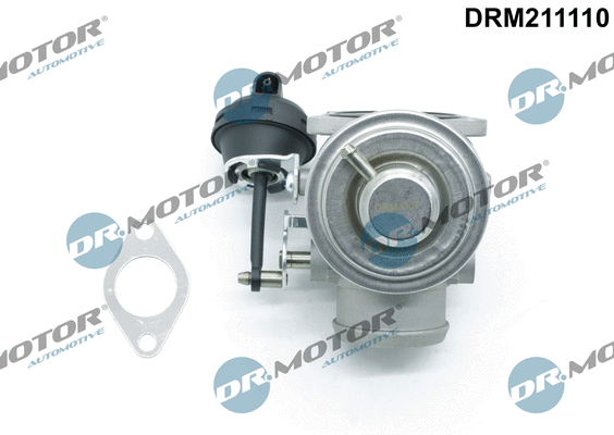 EGR Valve (DRM211110)