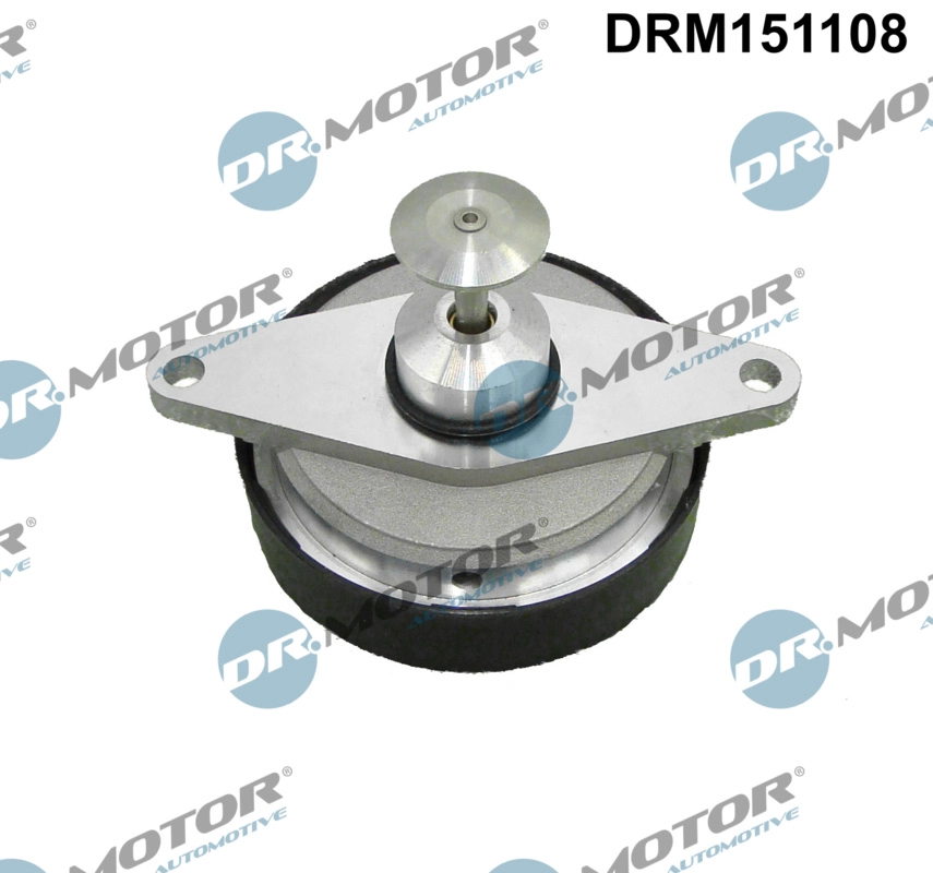 EGR Valve (DRM151108)