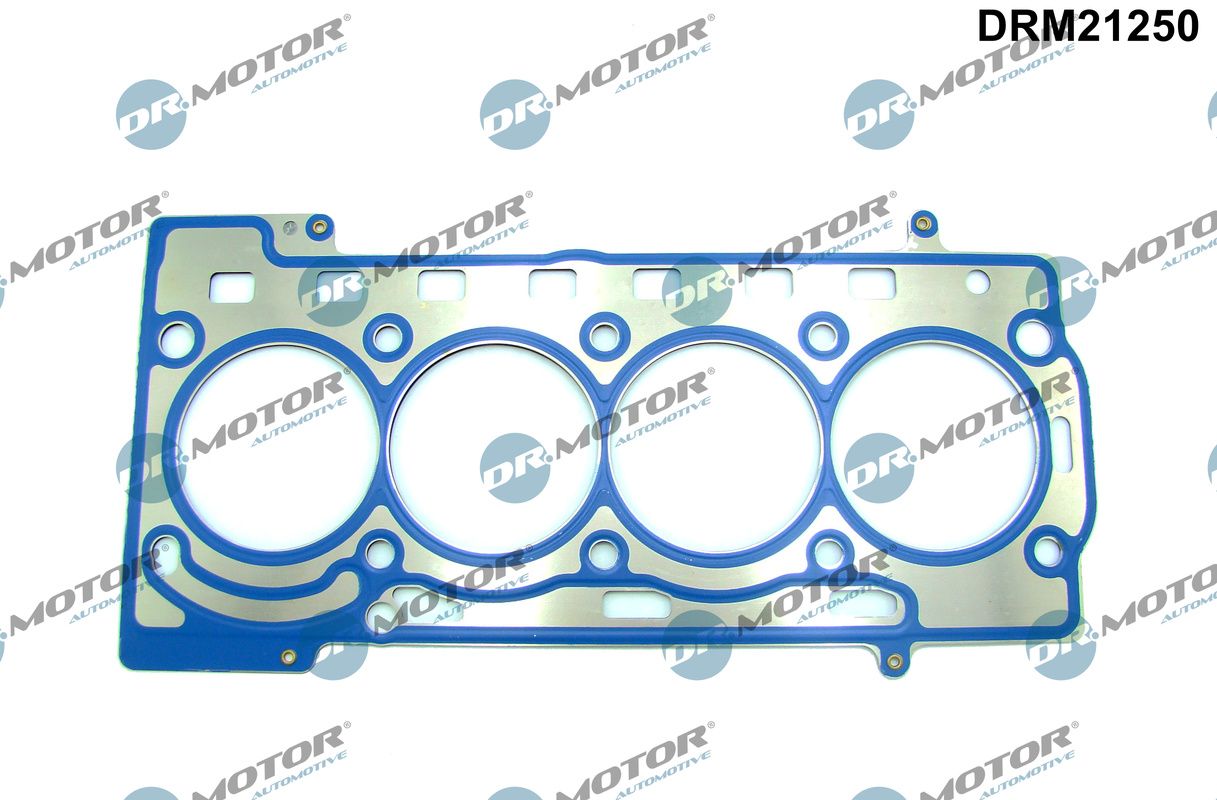 Gasket, cylinder head (DRM21250)