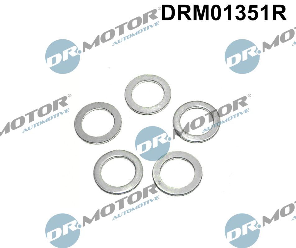 Seal Ring, oil drain plug (DRM01351R)