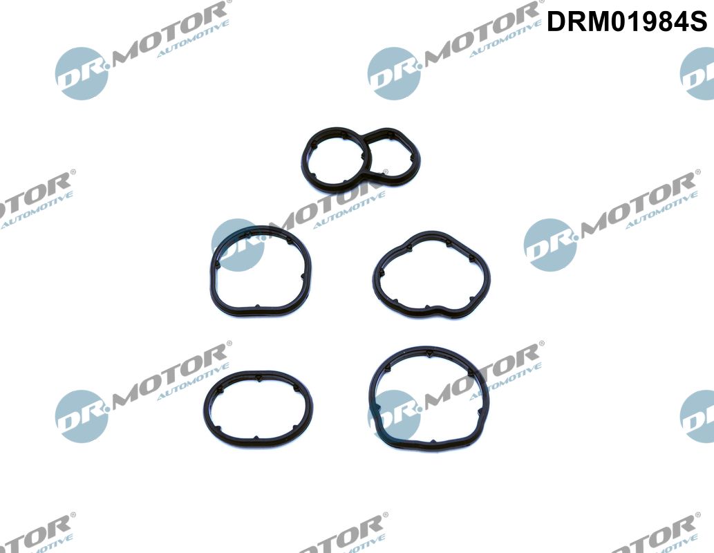 Gasket, oil filter housing (DRM01984S)