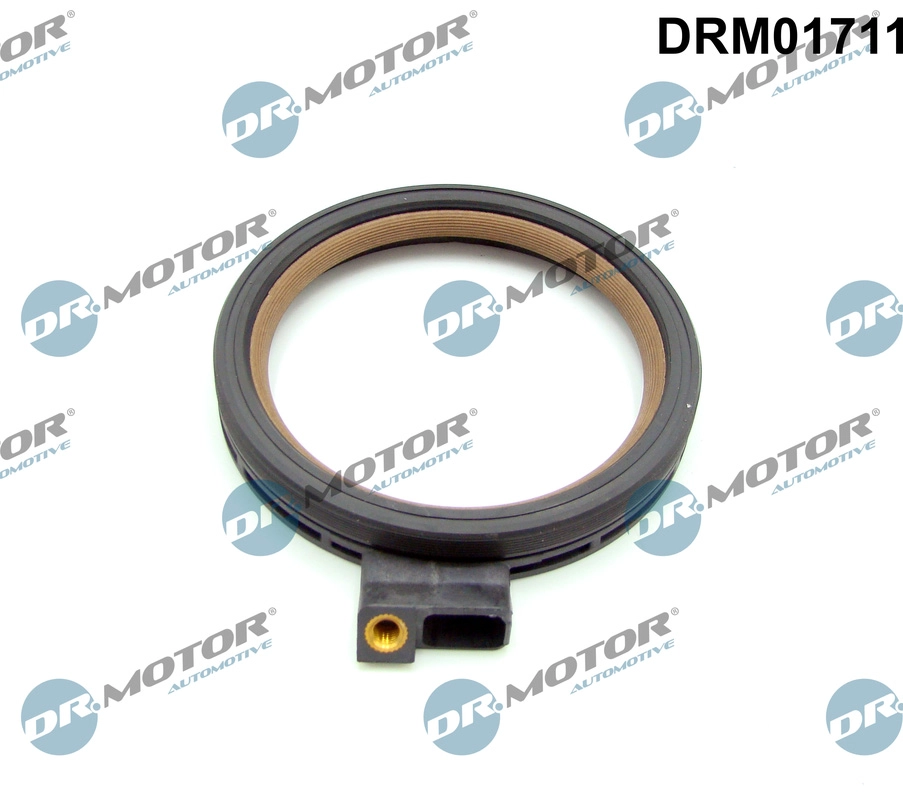 Shaft Seal, crankshaft (DRM01711)