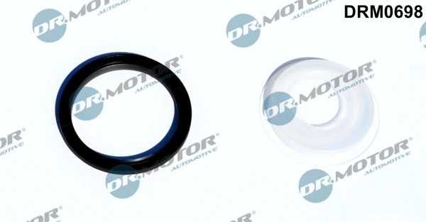 Shaft Seal, crankshaft (DRM0698)