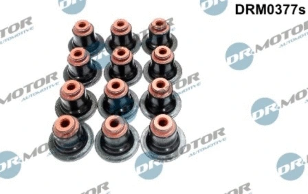 Seal Set, valve stem (DRM0377S)