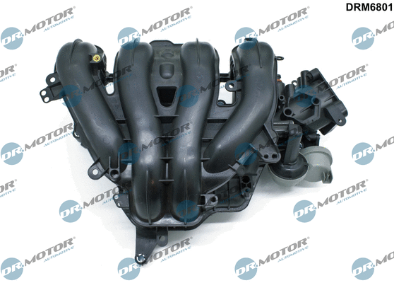Intake Manifold Module (DRM6801)