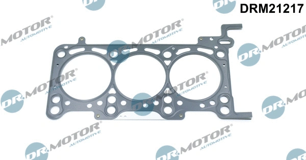 Gasket, cylinder head (DRM21217)