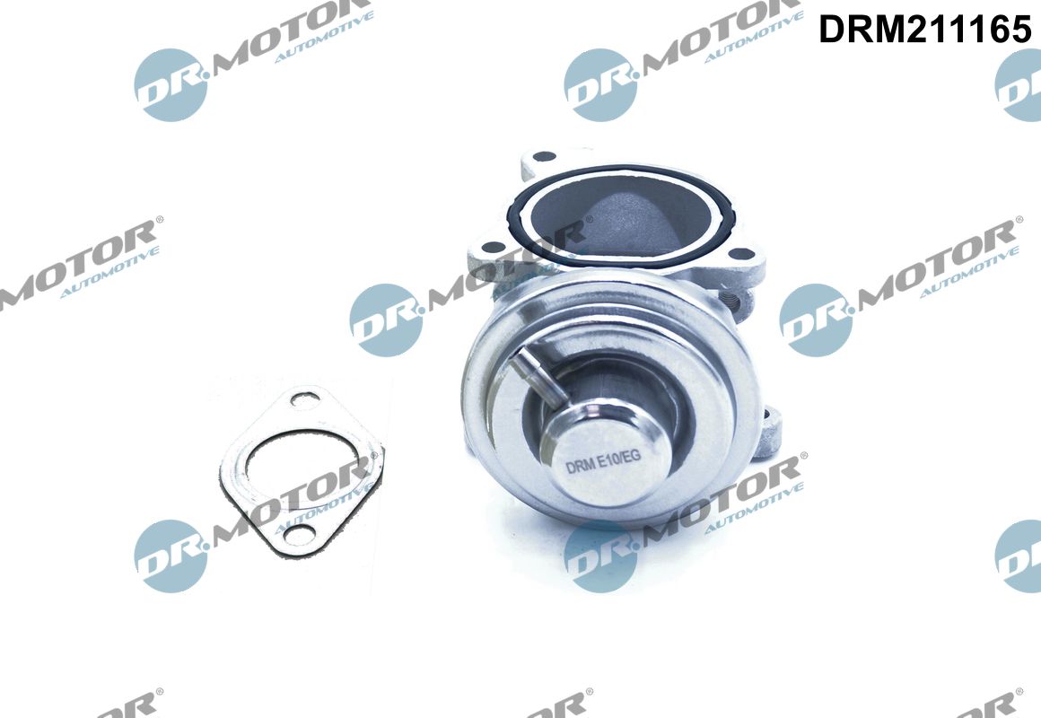 EGR Valve (DRM211165)
