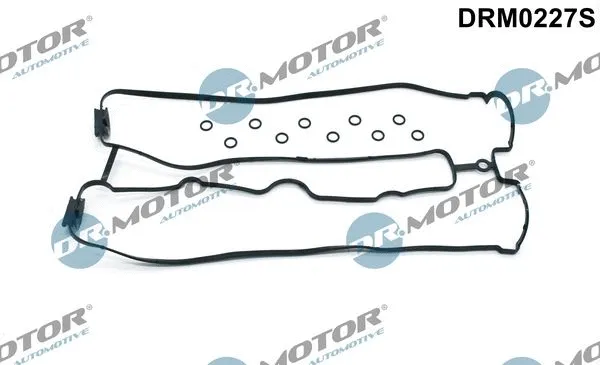 Gasket Set, cylinder head cover (DRM0227S)
