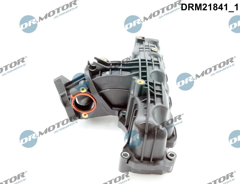 Intake Manifold Module