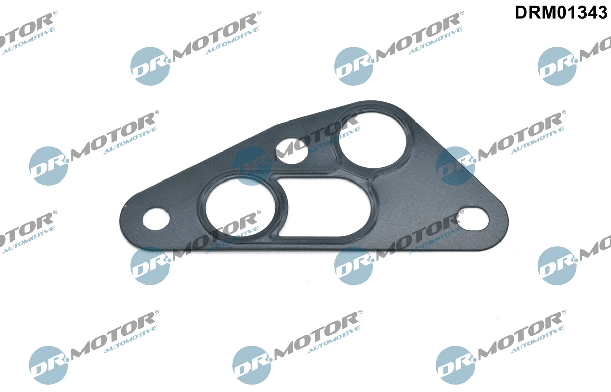 Gasket, oil cooler (DRM01343)