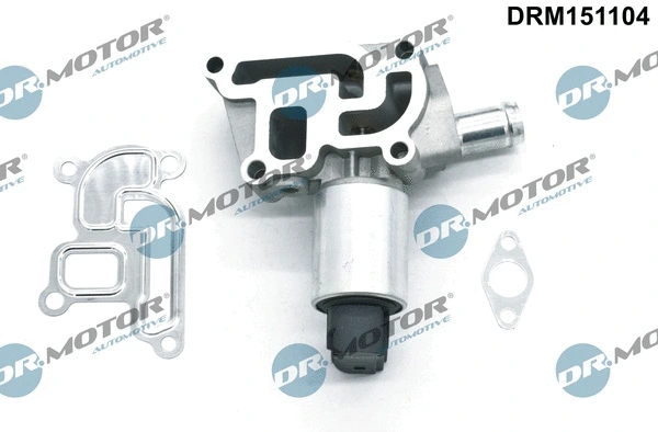 EGR Valve