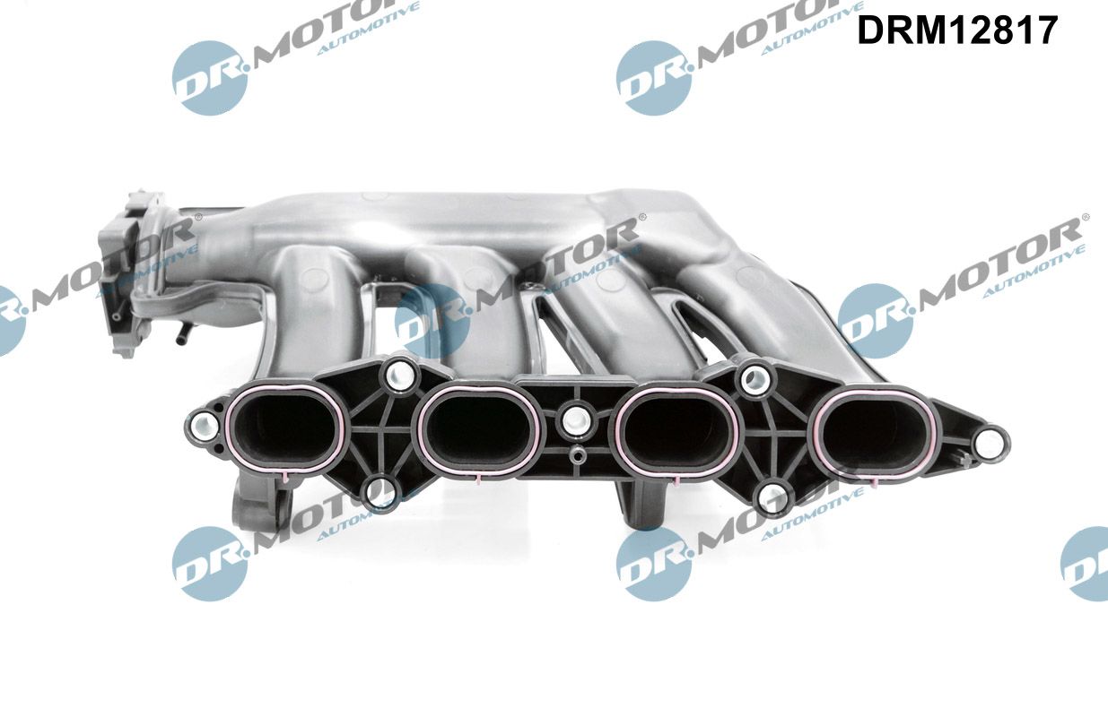 Intake Manifold Module