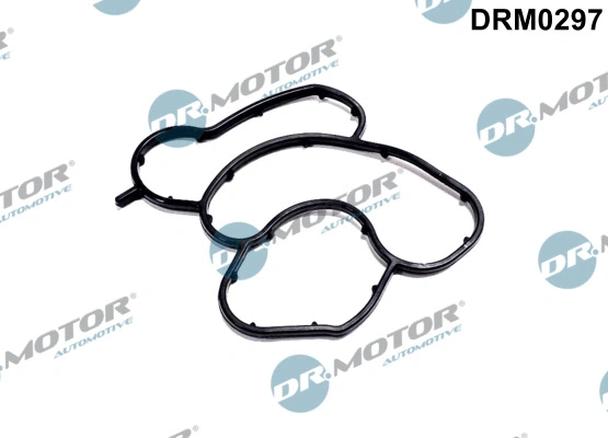 Gasket, oil filter housing (DRM0297)