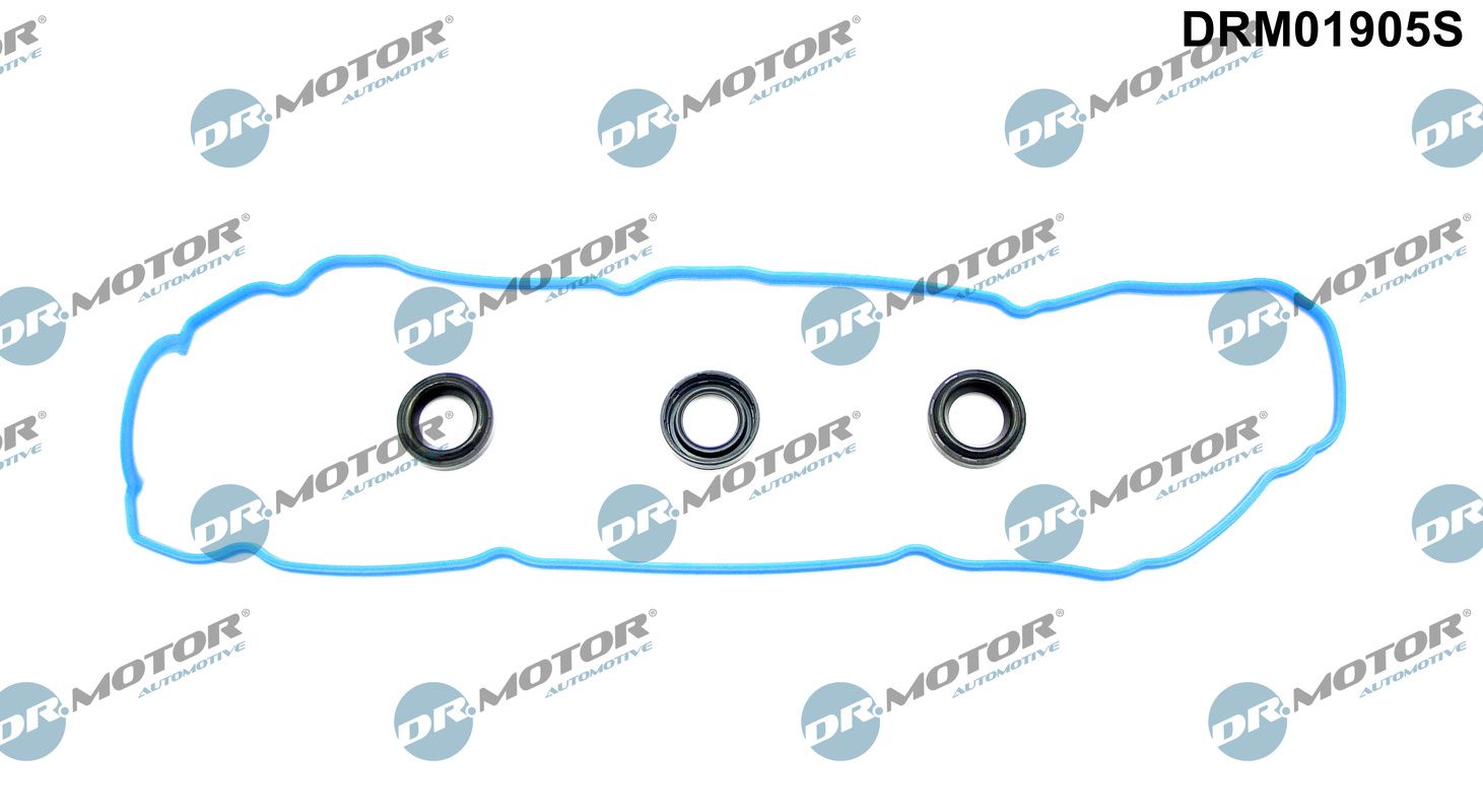 Gasket Set, cylinder head cover (DRM01905S)
