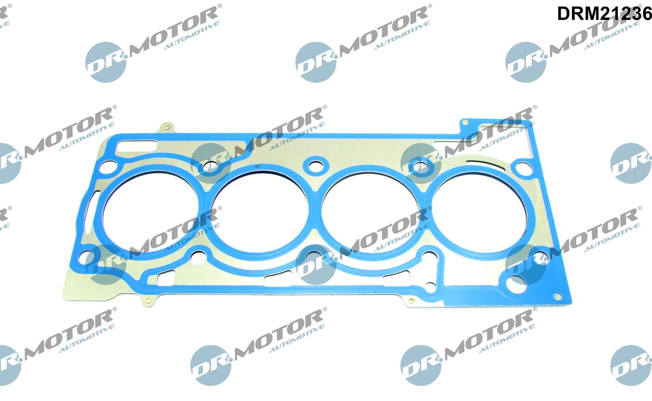 Gasket, cylinder head (DRM21236)