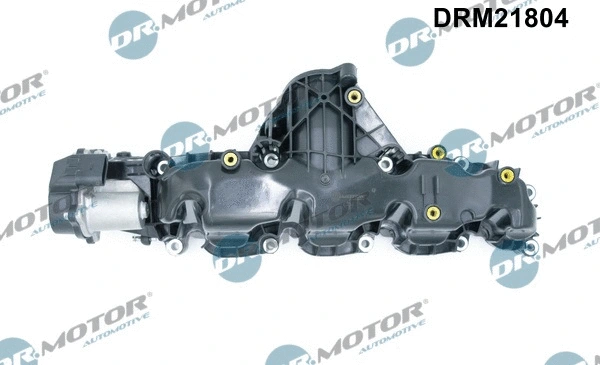 Intake Manifold Module (DRM21804)