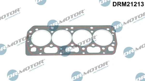 Gasket, cylinder head (DRM21213)