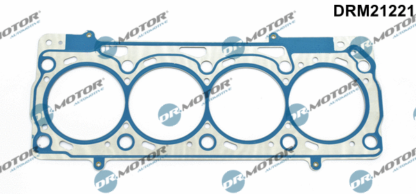 Gasket, cylinder head (DRM21221)