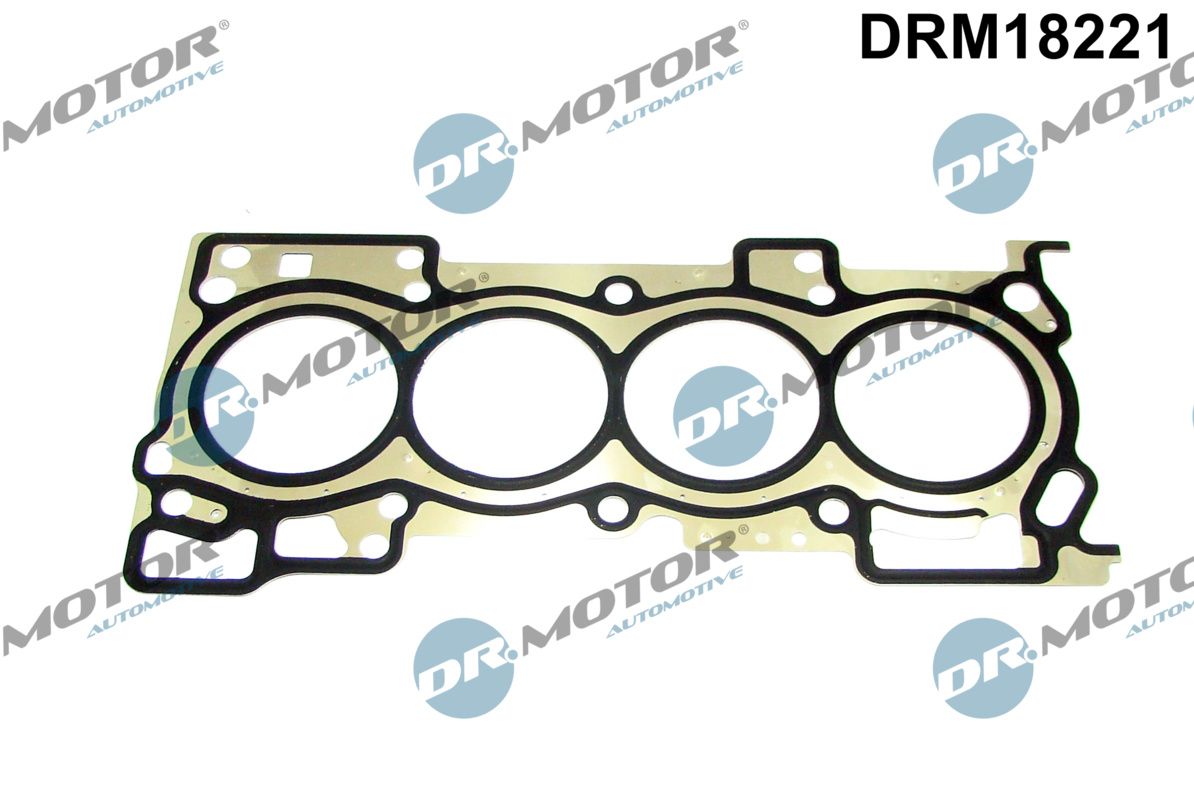 Gasket, cylinder head (DRM18221)