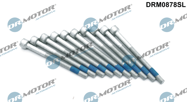 Screw, injection nozzle holder (DRM0878SL)