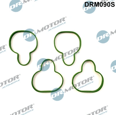 Gasket Set, intake manifold (DRM090S)