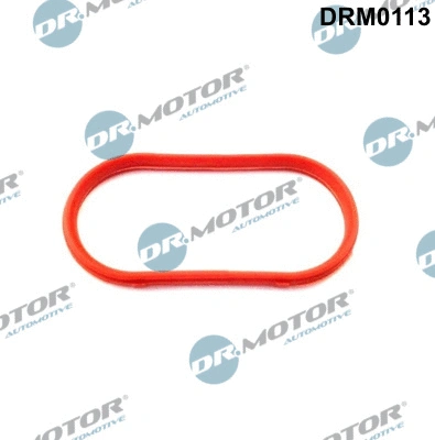 Gasket, intake manifold (DRM0113)