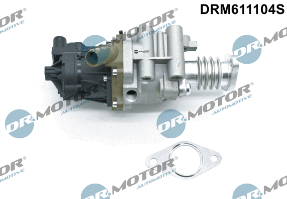 EGR Valve (DRM611104S)
