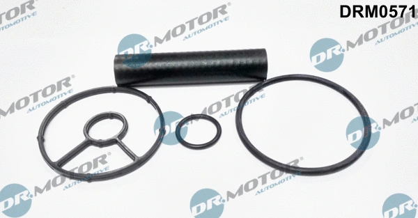 Gasket, oil cooler (DRM0571)