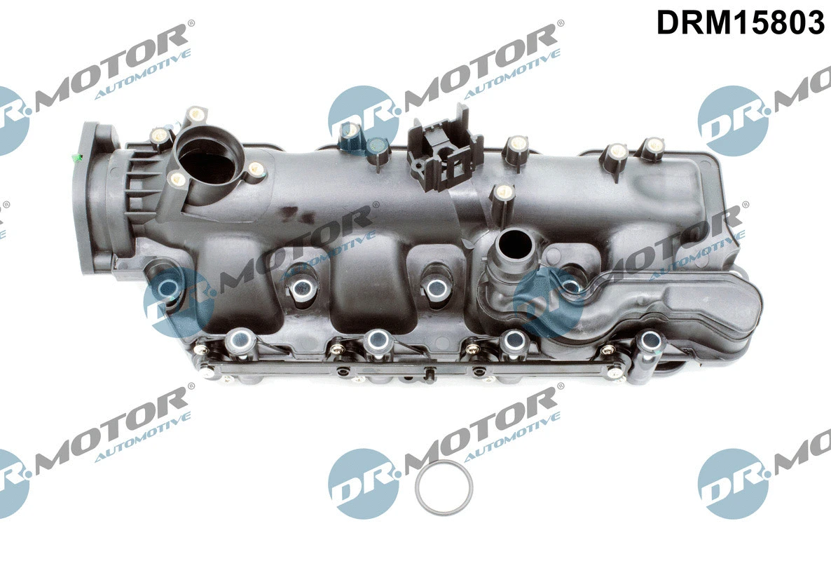 Intake Manifold Module (DRM15803)