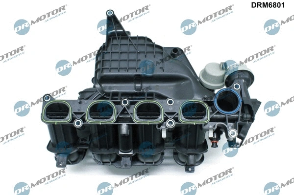 Intake Manifold Module