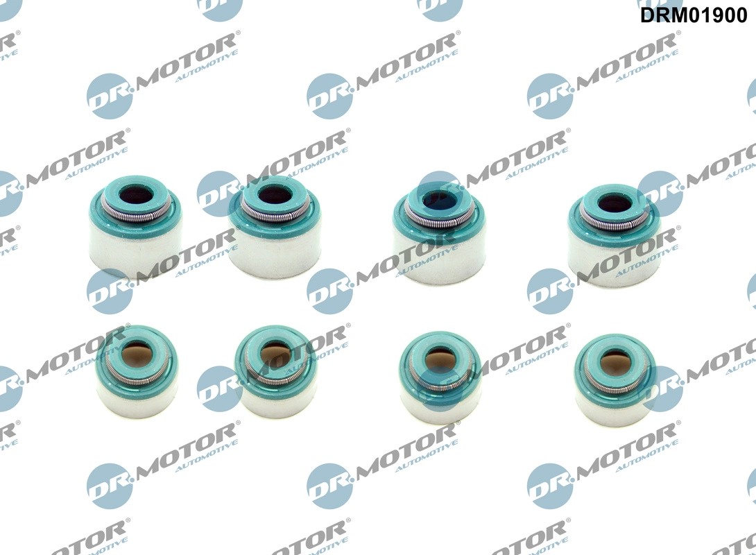 Seal Ring, valve stem (DRM01900)