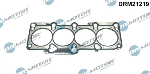 Gasket, cylinder head (DRM21219)