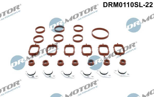 Repair Kit, intake manifold module (DRM0110SL-22)