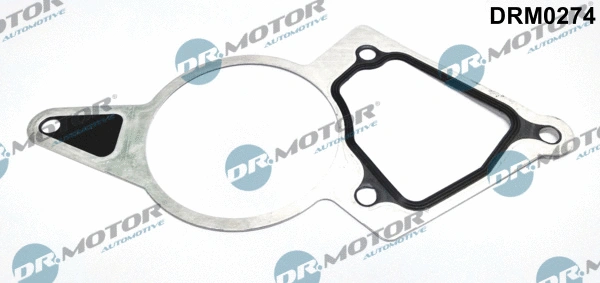 Gasket, vacuum pump (DRM0274)