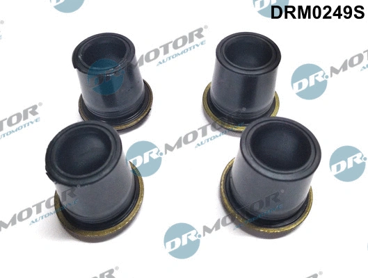 Seal, injector holder (DRM0249S)