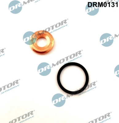 Seal Kit, injector nozzle (DRM0131)