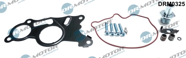 Repair Set, vacuum pump (braking system) (DRM0325)