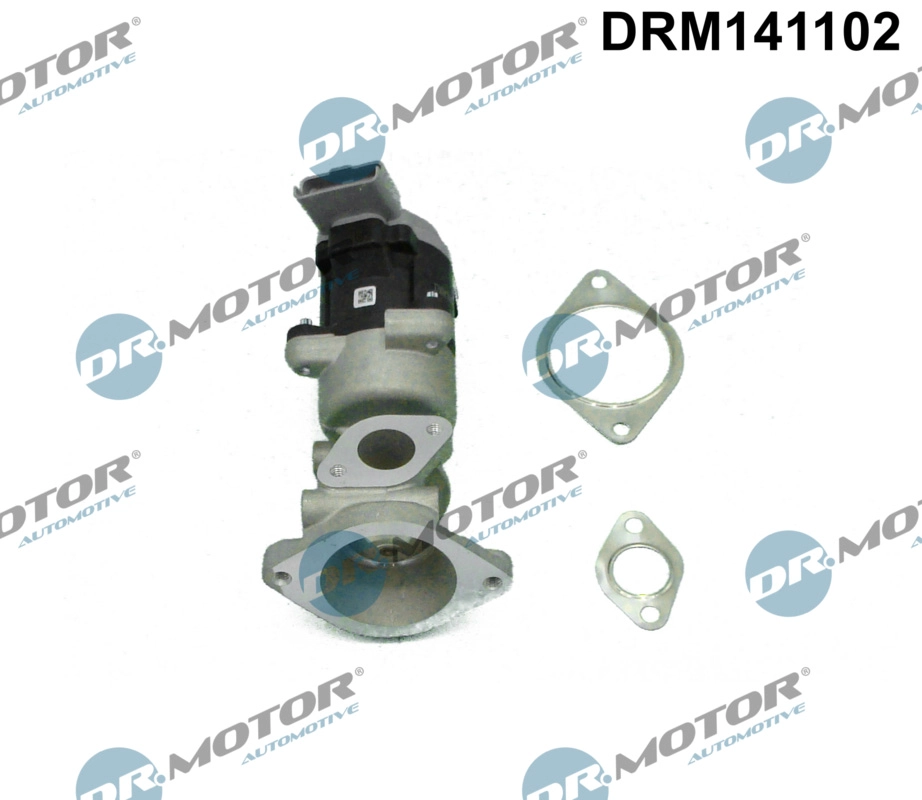 EGR Valve (DRM141102)