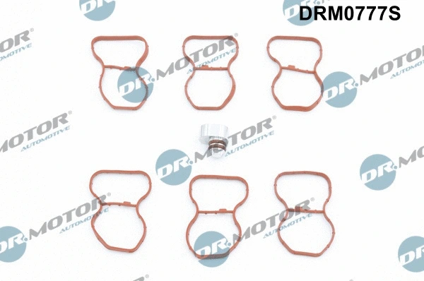 Gasket Set, intake manifold (DRM0777S)