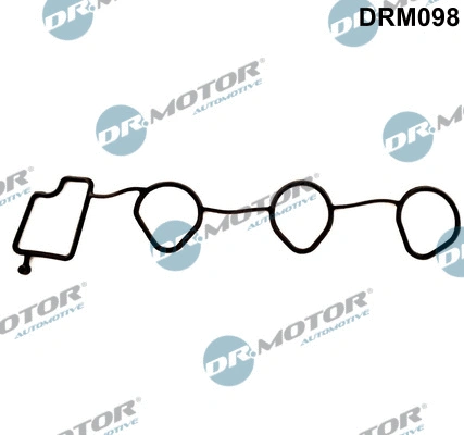 Gasket, intake manifold (DRM098)