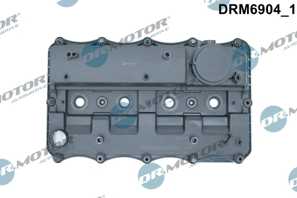 Cylinder Head Cover (DRM6904)