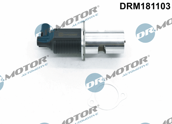 EGR Valve (DRM181103)