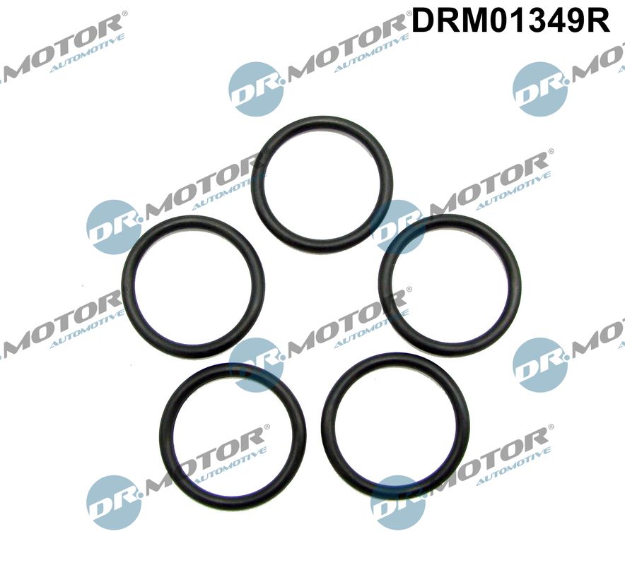 Seal Ring, oil drain plug (DRM01349R)