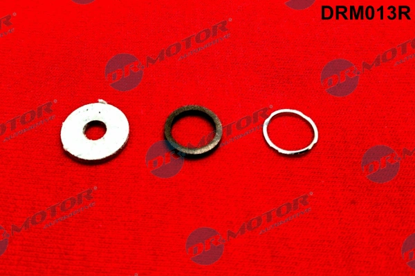 Repair Kit, common rail system (DRM013R)