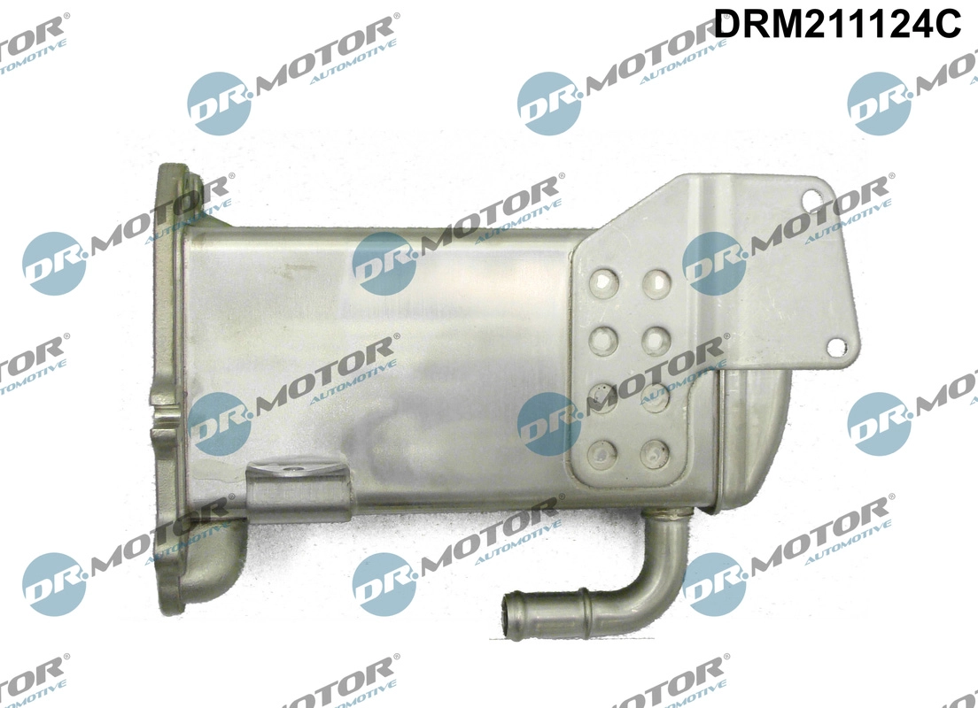 Cooler, exhaust gas recirculation (DRM211124C)