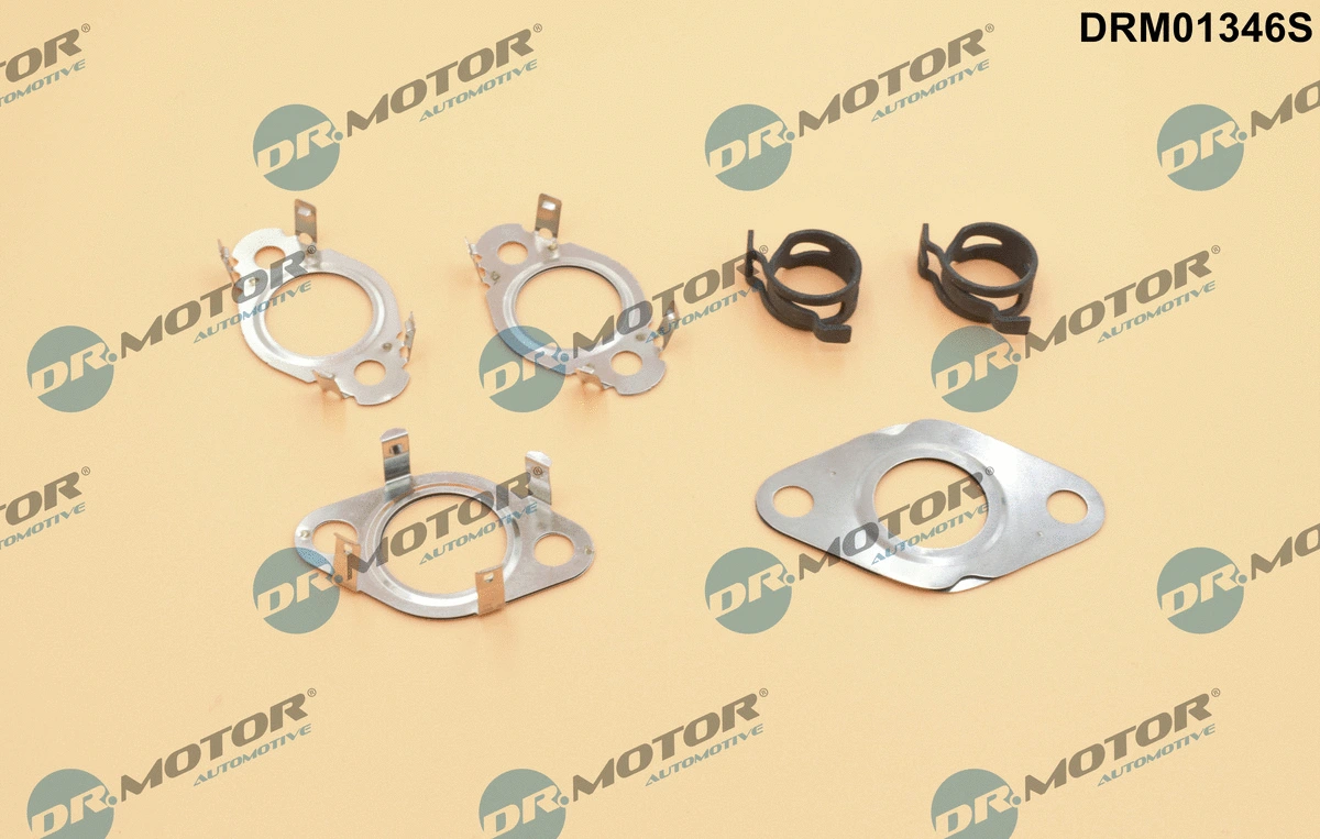 Gasket Set, EGR system (DRM01346S)