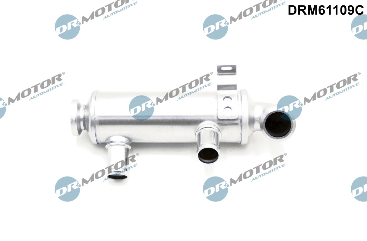Cooler, exhaust gas recirculation (DRM61109C)
